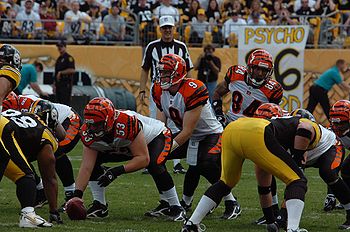 350px Carson Palmer under center Carson Palmer