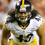 troy-polamalu